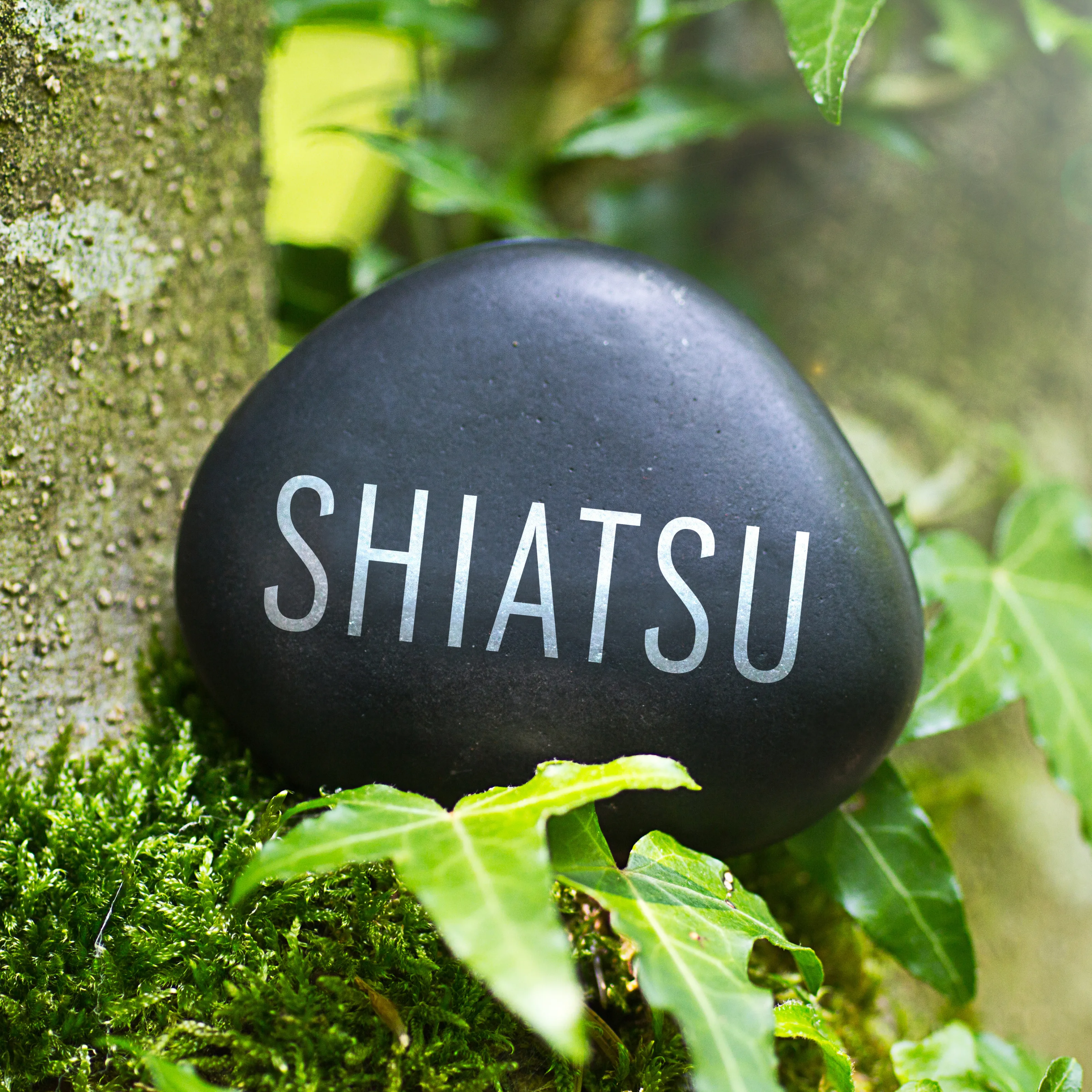 Stein mit der Aufschrift Shiatsu auf Moos
